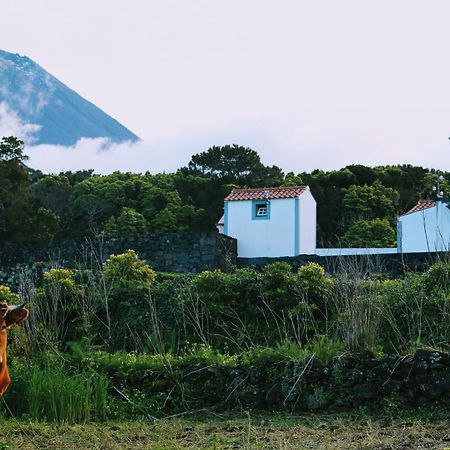 Casa Do Paim Βίλα São Roque do Pico Εξωτερικό φωτογραφία