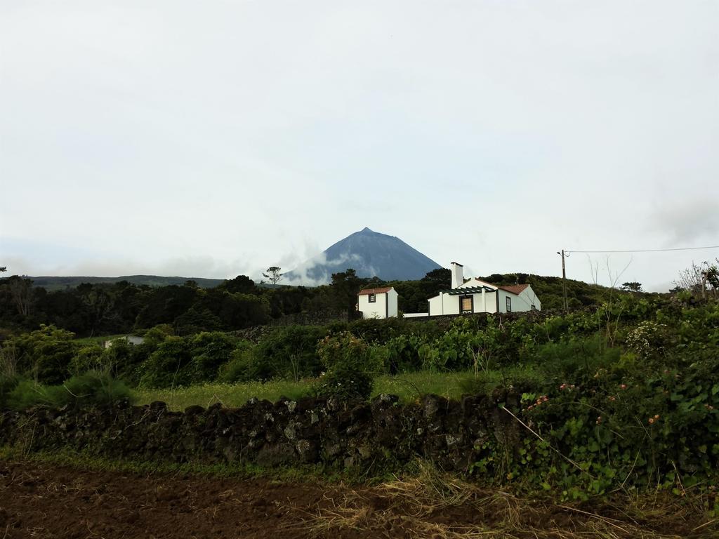 Casa Do Paim Βίλα São Roque do Pico Εξωτερικό φωτογραφία