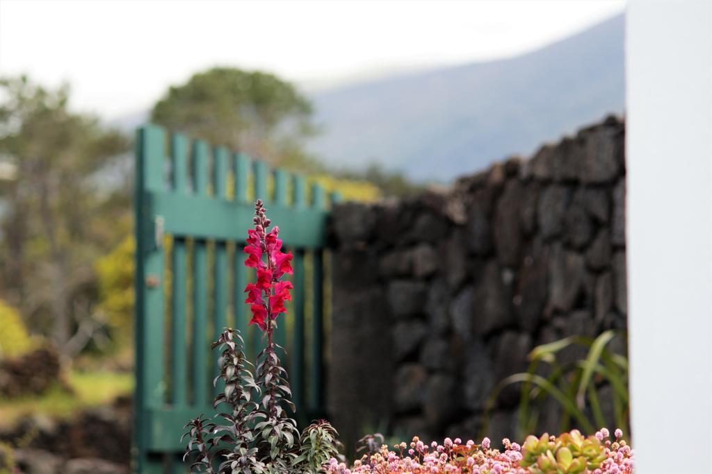 Casa Do Paim Βίλα São Roque do Pico Εξωτερικό φωτογραφία