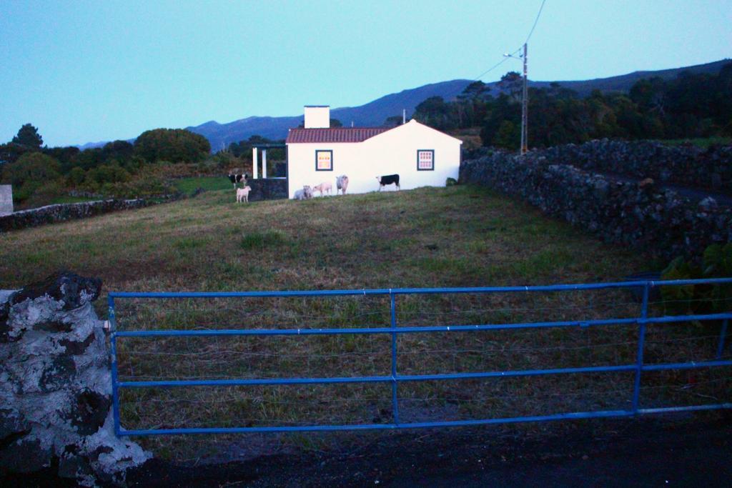 Casa Do Paim Βίλα São Roque do Pico Εξωτερικό φωτογραφία