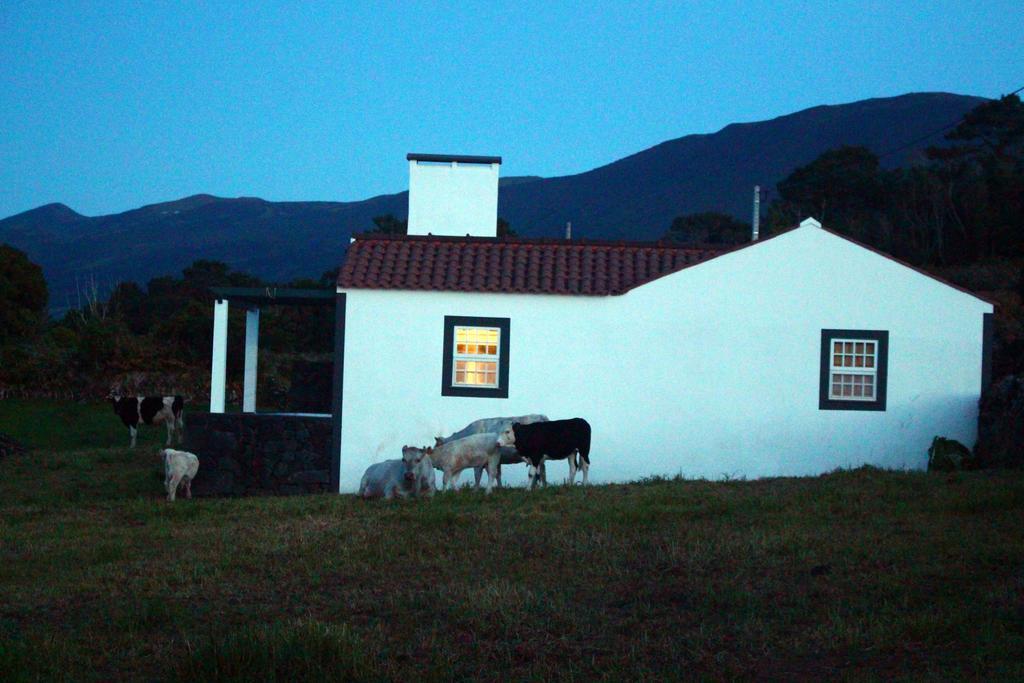 Casa Do Paim Βίλα São Roque do Pico Εξωτερικό φωτογραφία