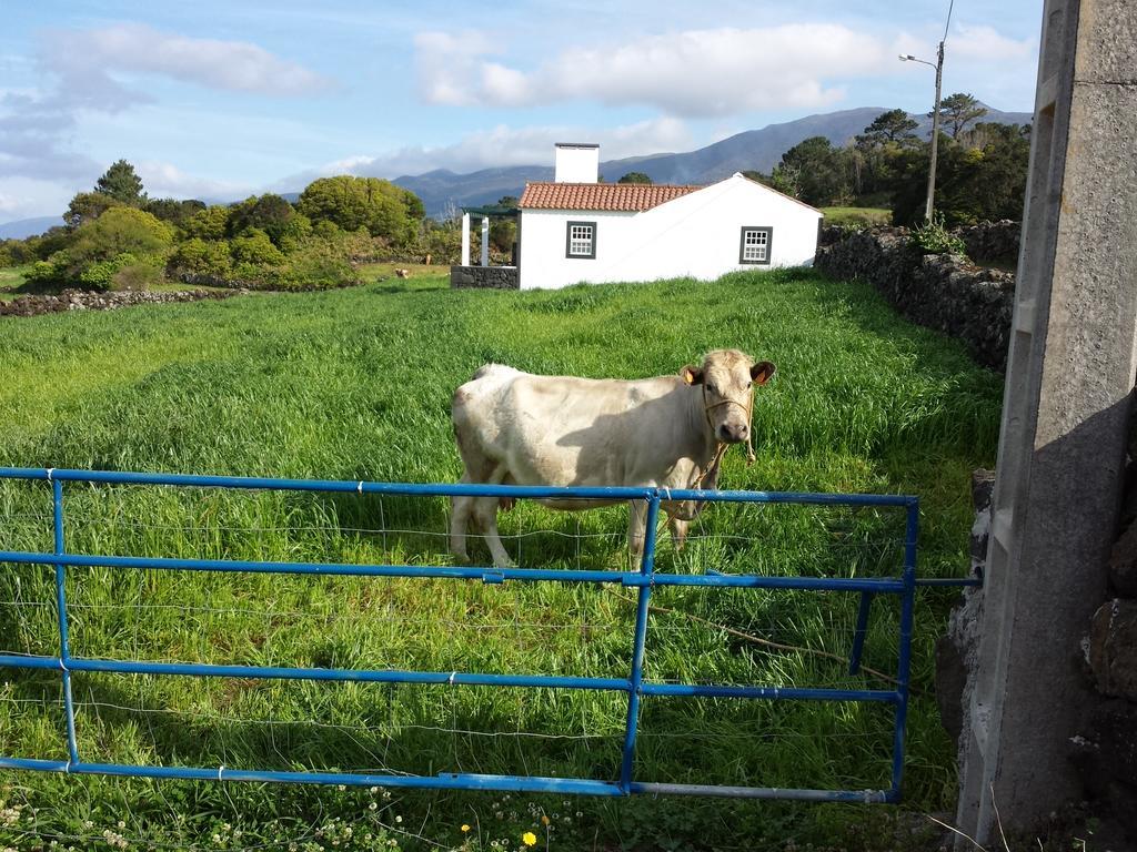 Casa Do Paim Βίλα São Roque do Pico Εξωτερικό φωτογραφία