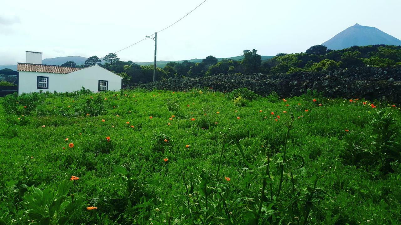 Casa Do Paim Βίλα São Roque do Pico Εξωτερικό φωτογραφία